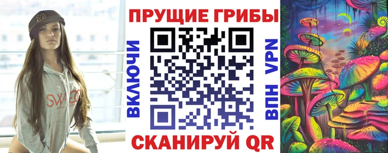 сколько стоит  blacksprut зеркало  Галлюциногенные грибы Psilocybine cubensis  Калининград 
